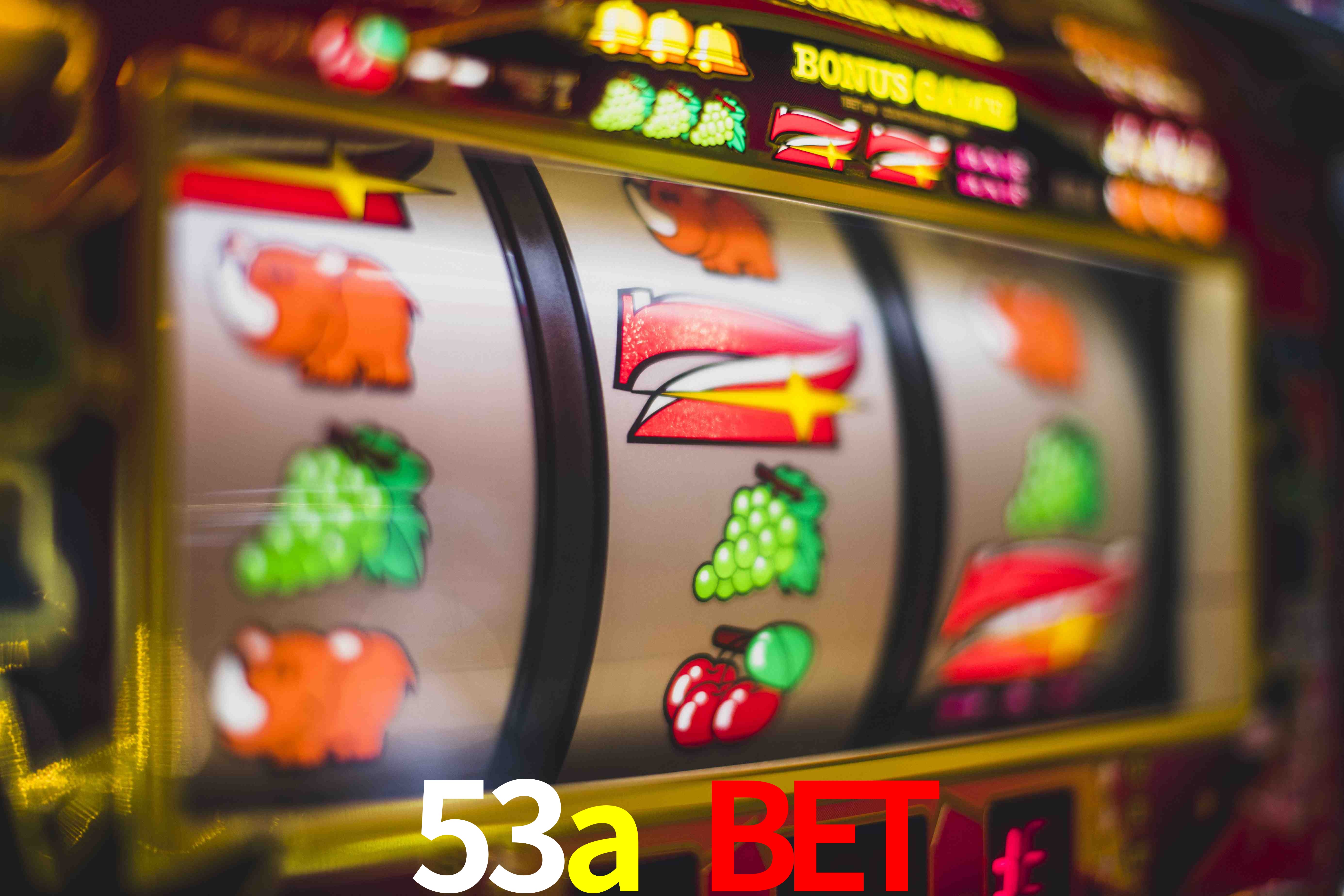 Statistics 53a bet